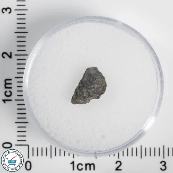 Laâyoune 002 Lunar Meteorite 0.24g