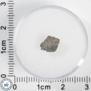 Laâyoune 002 Lunar Meteorite 0.31g