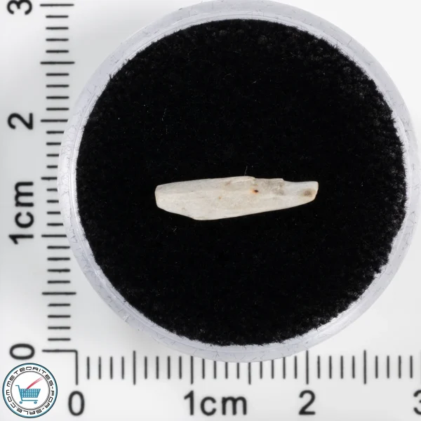 Sebkha el Melah 001 Meteorite 0.15g