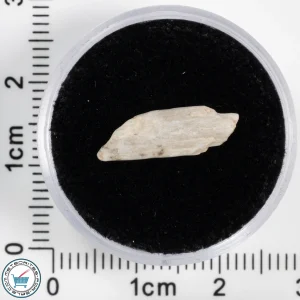 Sebkha el Melah 001 Meteorite 0.30g