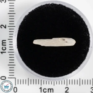 Sebkha el Melah 001 Meteorite 0.16g