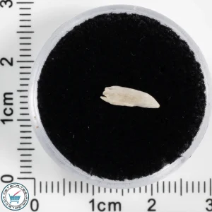 Sebkha el Melah 001 Meteorite 0.07g