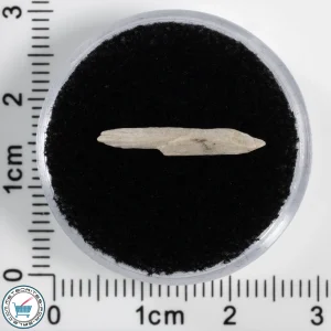 Sebkha el Melah 001 Meteorite 0.16g