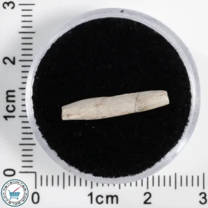 Sebkha el Melah 001 Meteorite 0.34g