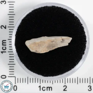 Sebkha el Melah 001 Meteorite 0.41g