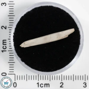 Sebkha el Melah 001 Meteorite 0.41g
