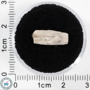 Sebkha el Melah 001 Meteorite 0.48g