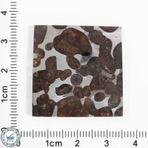 Pallasite Cabochon  14.9g 74.5ct