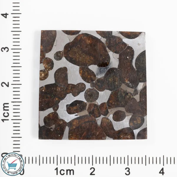 Pallasite Cabochon  14.9g 74.5ct