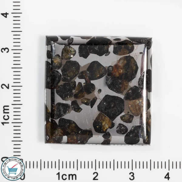 Pallasite Cabochon  21.3g 106.5ct