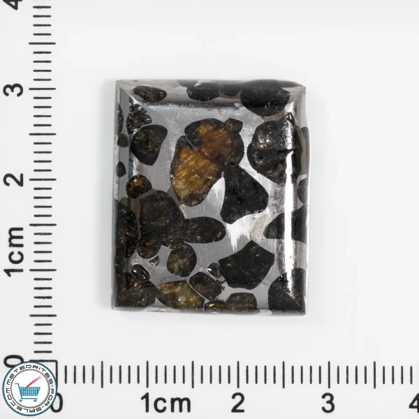 Pallasite Cabochon  11.6g 58ct