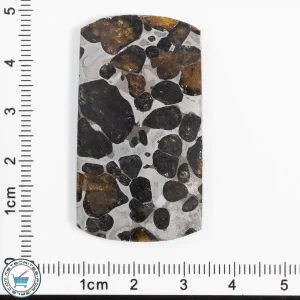 Pallasite Cabochon  15.8g 79ct