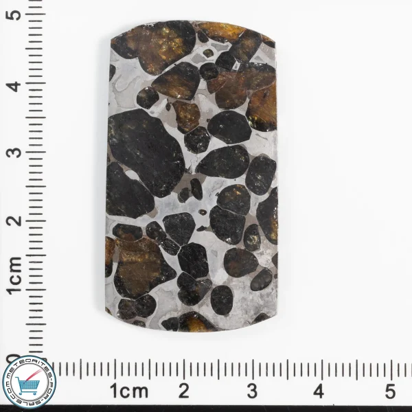Pallasite Cabochon  15.8g 79ct