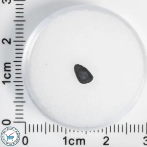 Tarda Meteorite 0.04g