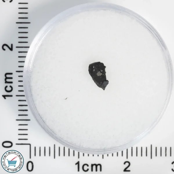 Tarda Meteorite 0.06g