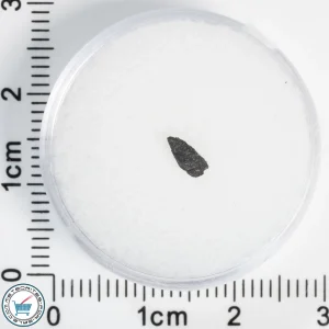 Tarda Meteorite 0.02g