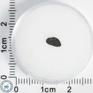 Tarda Meteorite 0.02g