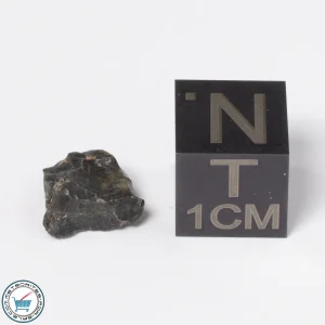 Tatahouine Meteorite 0.60g