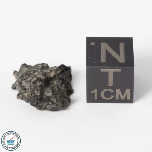 NWA 11788 Lunar Meteorite 1.2g Polished Window