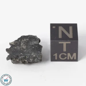 NWA 11788 Lunar Meteorite 1.2g Polished Window