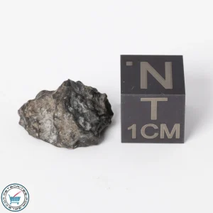 NWA 11788 Lunar Meteorite 1.4g Polished Window