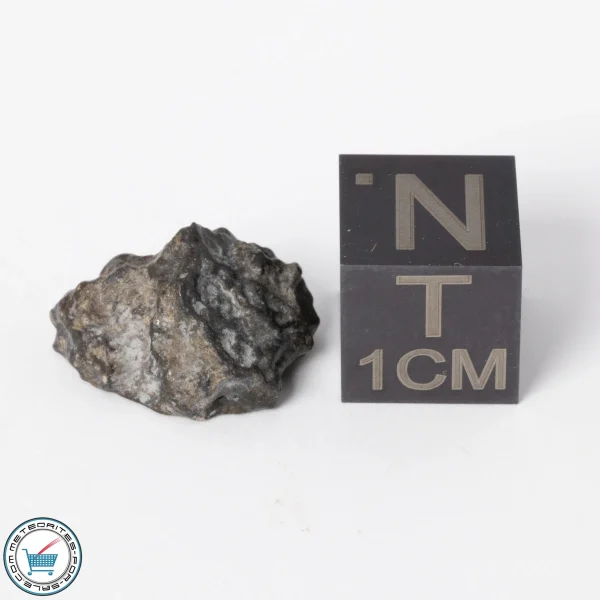 NWA 11788 Lunar Meteorite 1.4g Polished Window