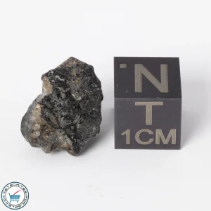 NWA 11788 Lunar Meteorite 1.4g Polished Window