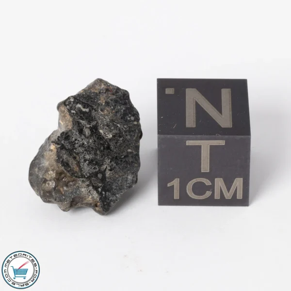 NWA 11788 Lunar Meteorite 1.4g Polished Window