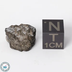 NWA 11788 Lunar Meteorite 1.9g Polished Window