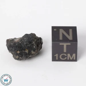 NWA 11788 Lunar Meteorite 1.9g Polished Window