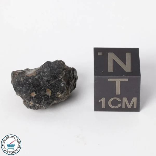 NWA 11788 Lunar Meteorite 1.9g Polished Window