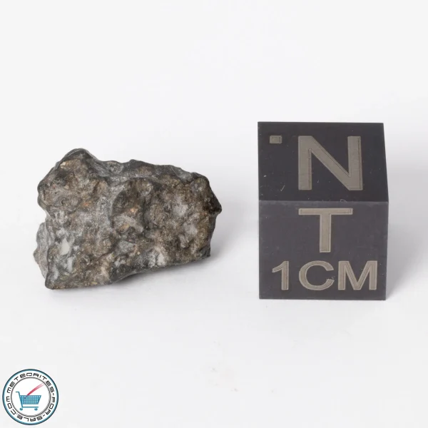 NWA 11788 Lunar Meteorite 1.4g Polished Window