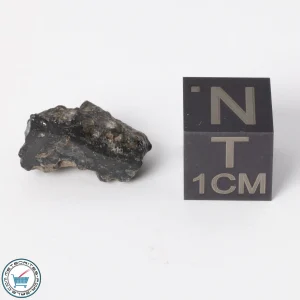 NWA 11788 Lunar Meteorite 1.4g Polished Window