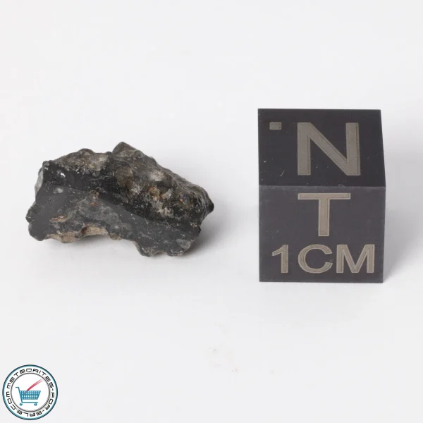 NWA 11788 Lunar Meteorite 1.4g Polished Window