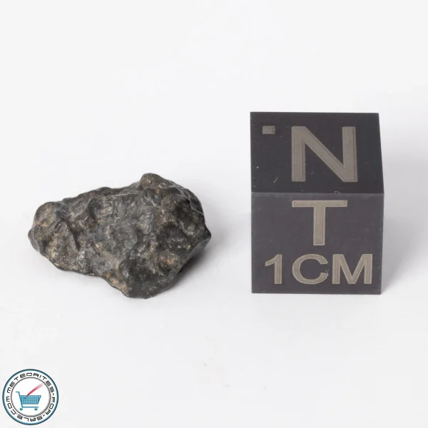NWA 11788 Lunar Meteorite 0.9g Polished Window