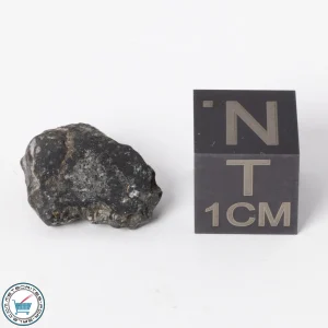 NWA 11788 Lunar Meteorite 0.9g Polished Window