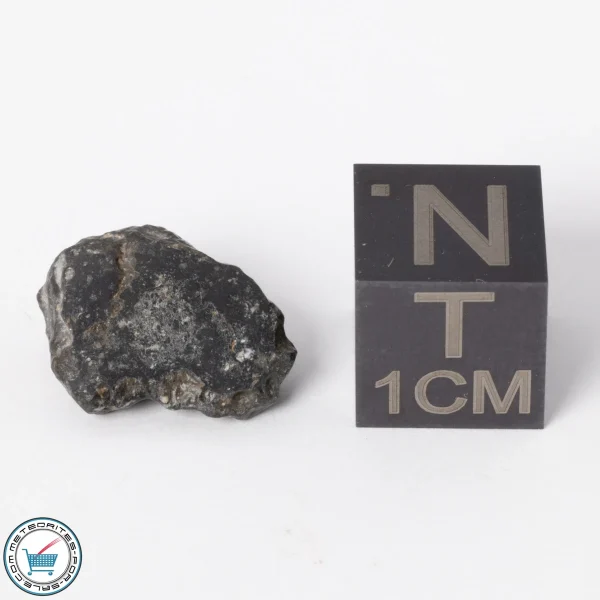NWA 11788 Lunar Meteorite 0.9g Polished Window