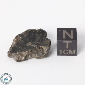 NWA 11788 Lunar Meteorite 4.2g Polished Window