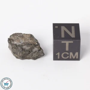 NWA 11788 Lunar Meteorite 1.6g Polished Window