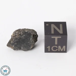 NWA 11788 Lunar Meteorite 1.6g Polished Window