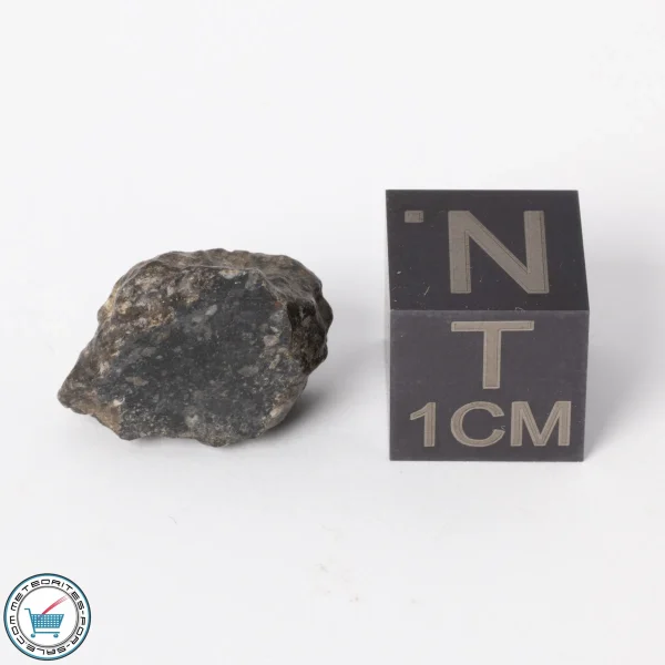 NWA 11788 Lunar Meteorite 1.6g Polished Window