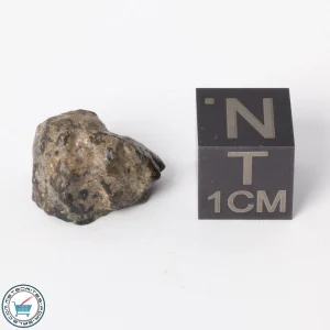 NWA 11788 Lunar Meteorite 2.1g Polished Window