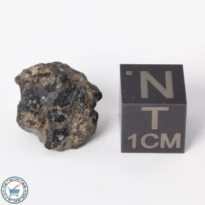 NWA 11788 Lunar Meteorite 1.9g Polished Window