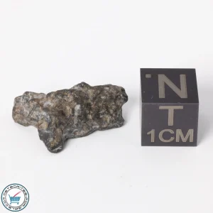 NWA 11788 Lunar Meteorite 1.8g Polished Window