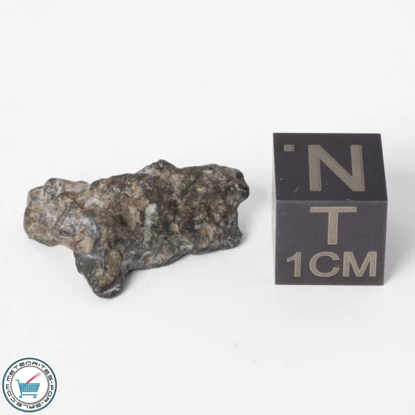 NWA 11788 Lunar Meteorite 1.8g Polished Window