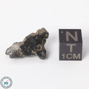 NWA 11788 Lunar Meteorite 1.8g Polished Window