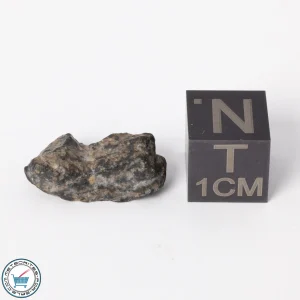 NWA 11788 Lunar Meteorite 1.5g Polished Window