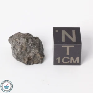 NWA 11788 Lunar Meteorite 1.5g Polished Window