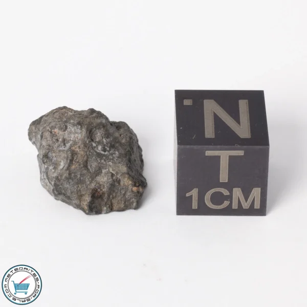 NWA 11788 Lunar Meteorite 1.5g Polished Window