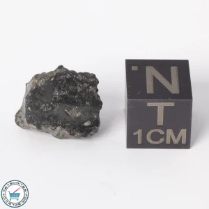 NWA 11788 Lunar Meteorite 1.5g Polished Window
